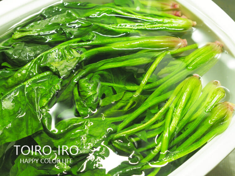 ほうれん草の茹で方と保存方法