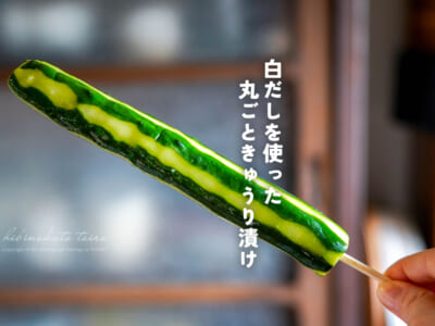 かぶりつこう!白だしを使った 丸ごときゅうり漬け