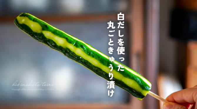 かぶりつこう！白だしを使った 丸ごときゅうり漬け