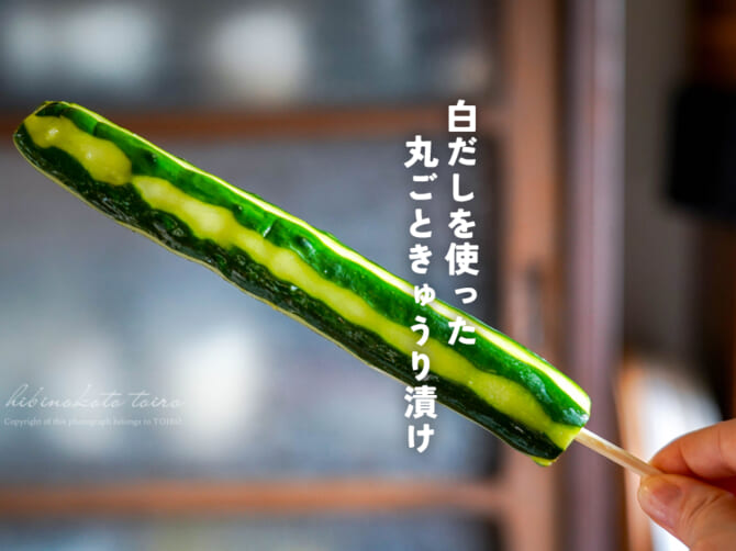 かぶりつこう！白だしを使った 丸ごときゅうり漬け