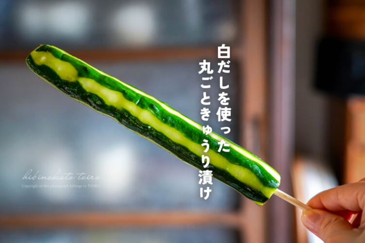 かぶりつこう！白だしを使った 丸ごときゅうり漬け