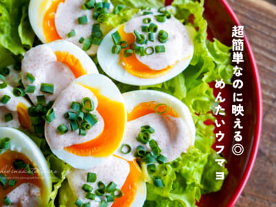 超簡単なのに映える◎めんたいウフマヨ